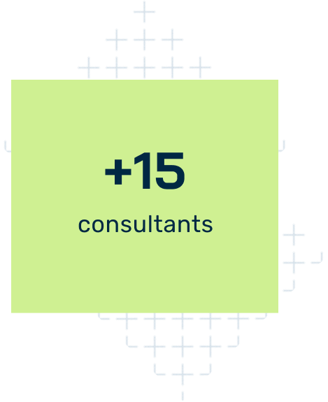 +15 consultants
