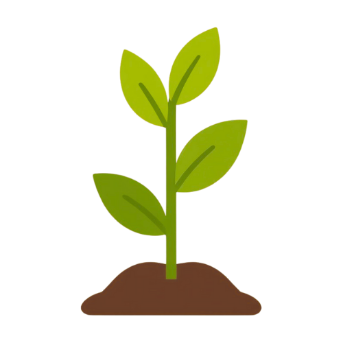 croissance et scalabilité stable avec erp business central